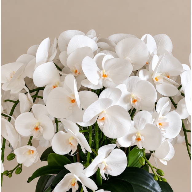 Prabangi dirbtinių 10 orchidėjų kompozicija sidabrinėje vazoje 