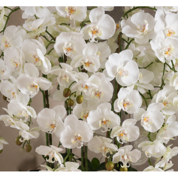 Prabangi dirbtinių baltų orchidėjų kompozicija aukštoje vazoje