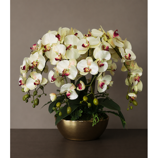 Prabangioji orchidėjų kompozicija aukso dubenyje