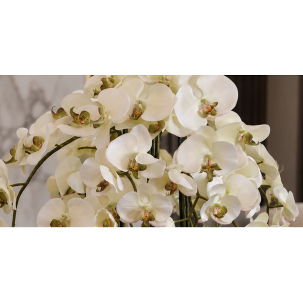 Prabangi baltų dirbtinių orchidėjų kompozicija aukso spalvos vazone 