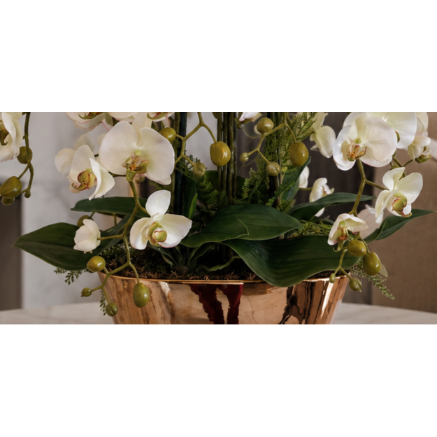 Prabangi baltų dirbtinių orchidėjų kompozicija aukso spalvos vazone 