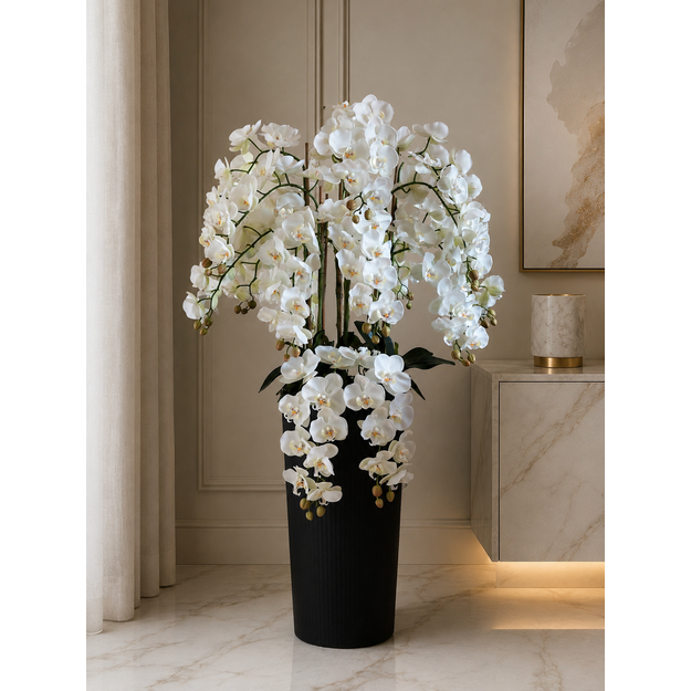 Karališkoji baltųjų orchidėjų kompozicija