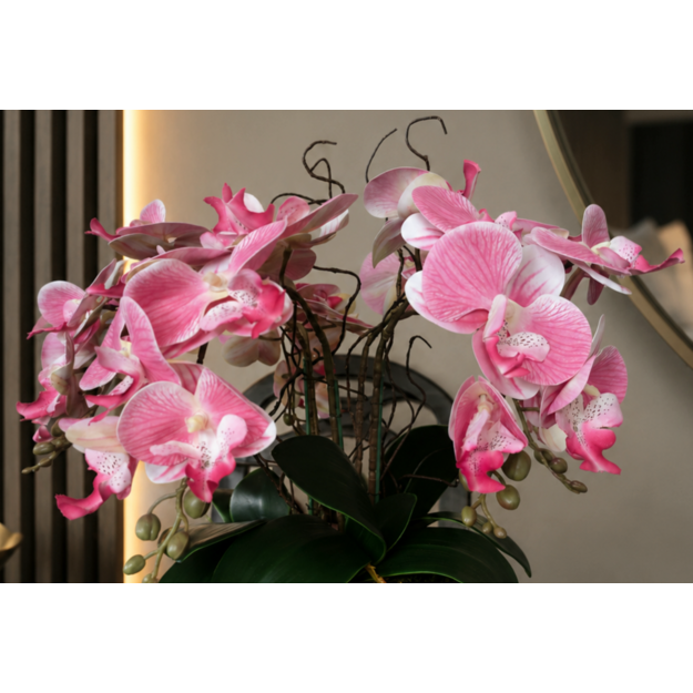 Dirbtinių orchidėjų kompozicija Rožinis žavesys